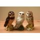 A group of three Royal Doulton bone china for White & Mackay Whisky studies comprising 'Short- - Image 1 of 4