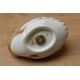 A Royal Crown Derby bone china duck paperweight, having Imari style decoration and a gold coloured - Image 3 of 3