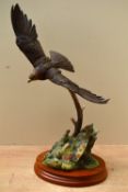 A Border Fine Arts animal study 'Flying Eagle' model number A1277, designed by Russell Willis,