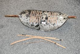 Of ethnographic interest, an African cowhide Zulu-style shield, having a black and white speckled