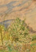 *Local Interest* Vivien John (British 1915-1994) Watercolour, study of a countryside gate and tree