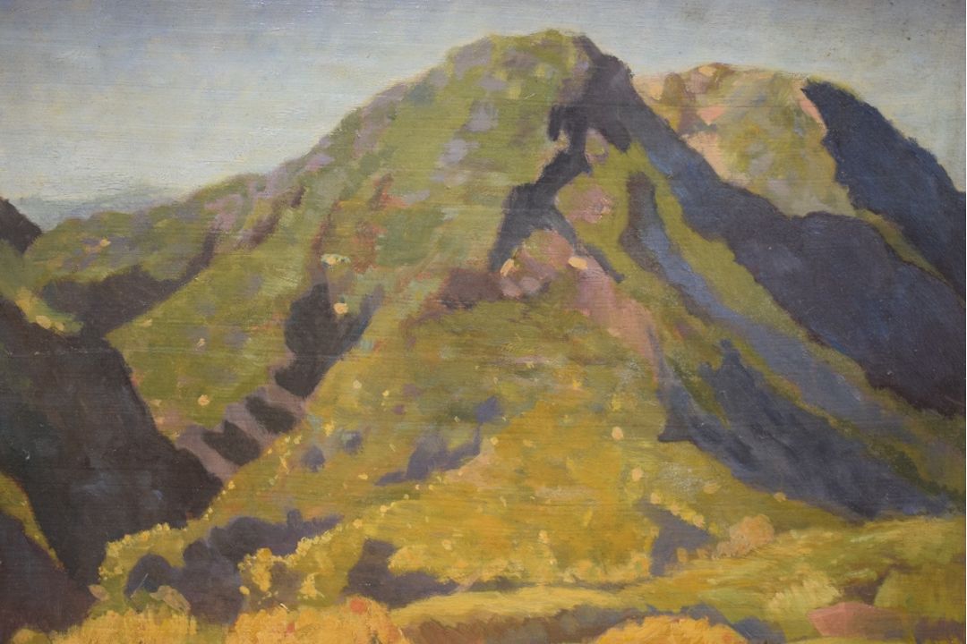 *Local Interest* Delmar Banner (German 1896 - 1983) Oil on board, an Autumnal Lakeland landscape, - Image 2 of 4