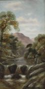C.F Watson (British 19th/20th Century) Oil on canvas, a mountainous river scene with fisherman,