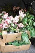 Two cartons of artificial greenery and flowers etc.