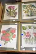 A collection of four modern lithographic prints, each a botanical plate study, entitled to centre,