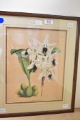 After John Nugent Fitch (British 1840-1927) Modern Lithograph 'Coelogyne Barbata', within stepped