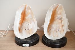 A pair of decorative Queen Helmet Conch Shell table lamps, mounted to circular moulded and stained