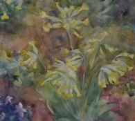 Anna Adams (British 1929-2011) Watercolour 'Cowslips in France', a vibrant wildflower study,