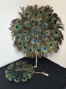 Two early 20th century peacock feather fans, both having metallic ribbon wrapped handle, largest