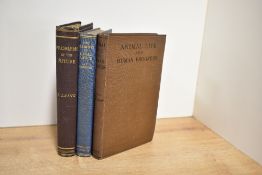 Philosophy & Science. Three titles. Laing, S. - Problems of the Future and Essays. London: 1889.