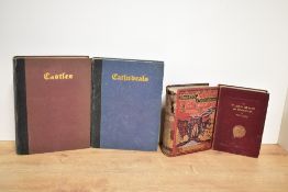Castles, Cathedrals, & Abbeys. Four titles. See images for titles. (4)