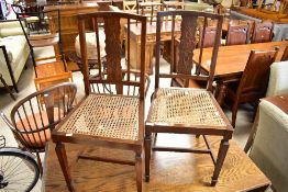 A pair of early 20th Century mahogany dining chairs having applique decoration and cane seats