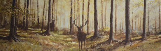 B Simms (Contemporary) Print on board, depicting a stag in a woodland, facsimile signature lower