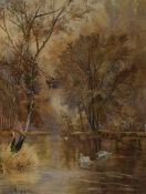 C Whittaker (British 20th Century) Watercolour, an autumnal river scene with swans, signed and dated