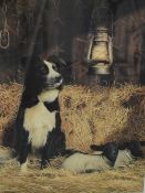 A collection of three colour prints depicting Border Collies, to include after G.W Pickering (20th