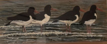 After Jan Ferguson (British Contemporary) Lithograph, a study of four Oystercatchers, signed in