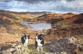 After Steven Townsend (British b. 1955) A collection of four limited edition colour prints,