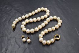 A 17' string of large cultured pearls of even form having a yellow metal clasp and a pair of 18ct