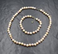 A single row of multi-coloured pearls, having alternating cream, peach and lavender pearls of