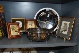 A selection of vintage framed Avian artwork, to include a small gilt-framed Blue Tit perched upon