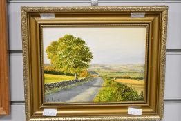 B Amos (British 20th Century) oil on board, a country lane in late summer, signed lower left, gift