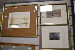 After Donald Harris (British 20th Century) Etching 'Riverside Foliage', a floral study, signed in
