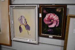 Joy Fremlin (20th Century) Oil on board 'Alyogyne', a vibrant floral study, initialled lower