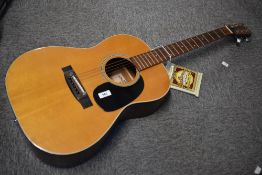 A Fender F-15 acoustic guitar and a set of new Earthwood strings