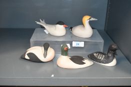 A sweet collection of contemporary Scottish 'Isle of Arran' bisque porcelain birds, to feature a