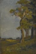 Eveline Williams (British 19th/20th Century) Oil on board, a late summer tree study, signed lower