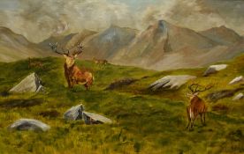 W Stead (British 20th Century) Oil on canvas, a highland landscape with herd of deer, signed and