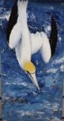 Fiona Simes (Scottish Contemporary) Acrylic on canvas, an ornithological study of a gannet, signed