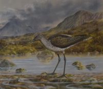 A Steele (British 20th Century) Watercolour, a study of a Curlew in a Scottish mountain stream,