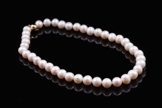 A cultured South Sea style pearl necklace