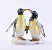 Pinguingruppe Ens