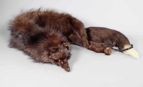 Pelzstola Silberfuchs