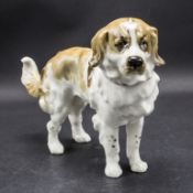 Stehender Bernhardiner / Hund / A standing Saint Bernard, Hutschenreuther Kunstabteilung, ...