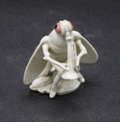 Musizierede Fliege aus der Serie 'Wiesenkonzert' / A trumpet playing fly from the serie ...