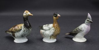 3 Vogelfiguren / 3 bird figures, Karl Ens, Volkstedt, 2. Hälfte 20. Jh.