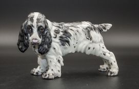 Cocker Spaniel / A cocker spaniel, C. Martinu, Spanien, Mitte 20. Jh.