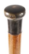 Spazierstock Horn