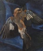 Curt Großpietsch, attr., Eichelhäher