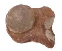 Dinosaurierei