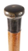 Spazierstock Horn