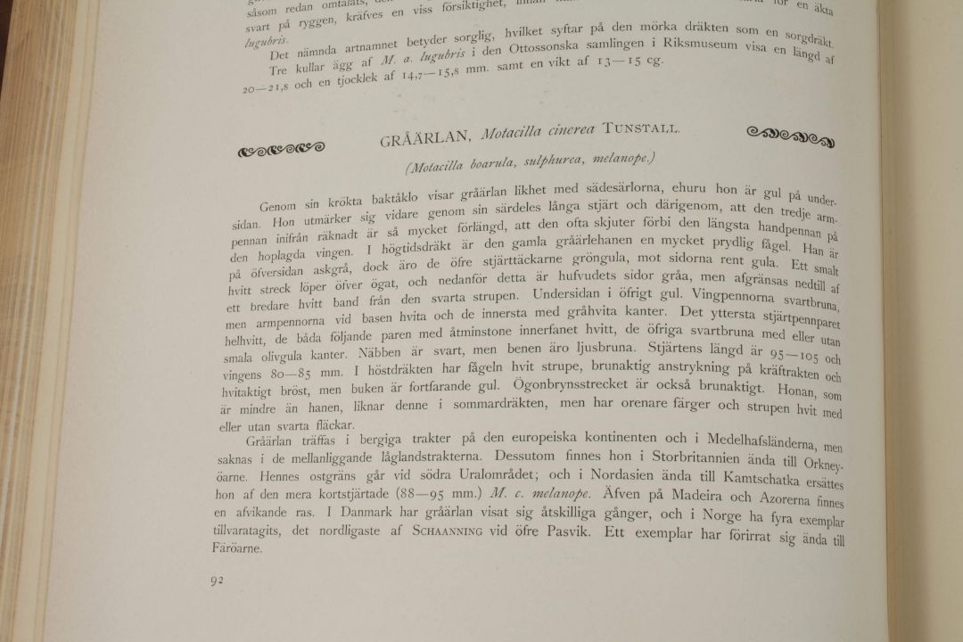 Sten Text Svenska Faglarefter Naturen och pa sten ritade, af M. W. och F. von ...