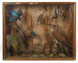 OF NATURAL HISTORY INTEREST: A CASED DISPLAY OF TAXIDERMY BIRDS