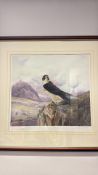Signed limited-edition peregrine falcon colour print, 142/500