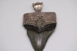 Vintage white metal mounted fossil Megalodon tooth