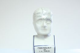 Large Phrenology head