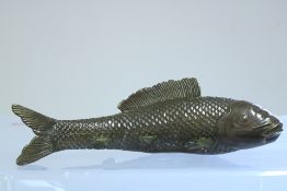 Bronze koi carp fish
